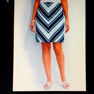 Talbots Chevron Skirt
